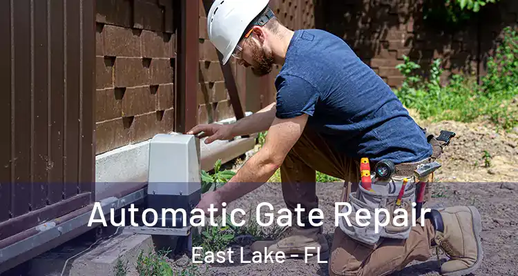  Automatic Gate Repair East Lake - FL