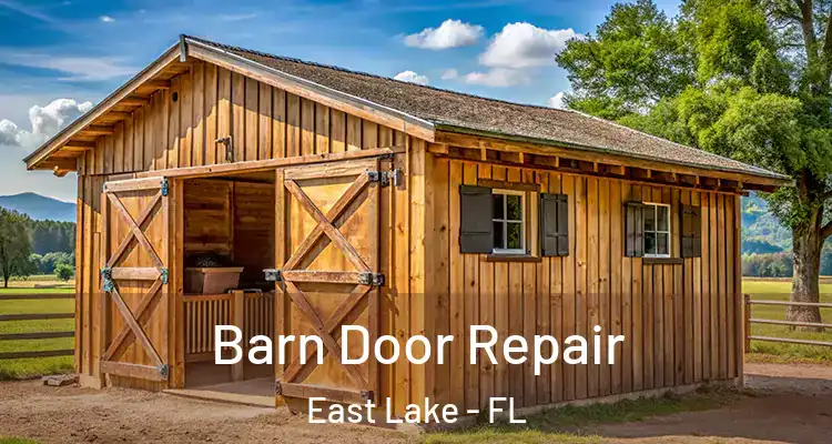  Barn Door Repair East Lake - FL