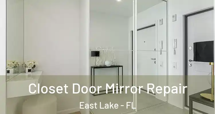  Closet Door Mirror Repair East Lake - FL