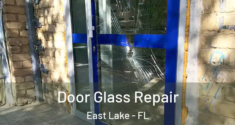  Door Glass Repair East Lake - FL