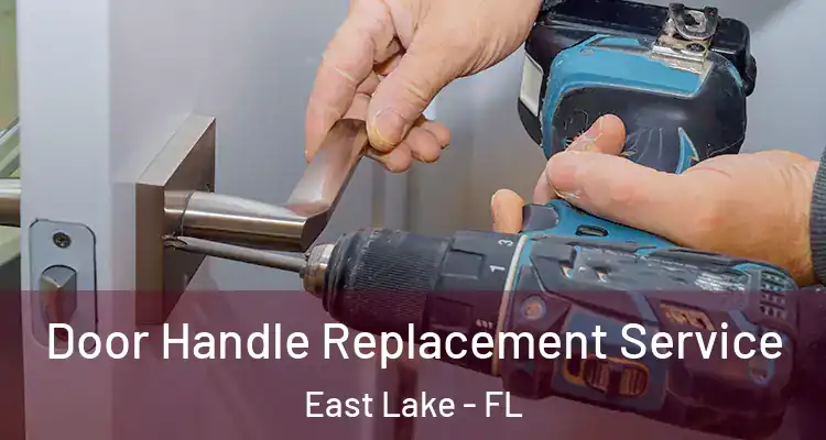  Door Handle Replacement Service East Lake - FL