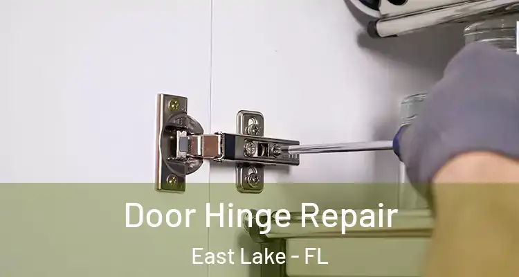  Door Hinge Repair East Lake - FL