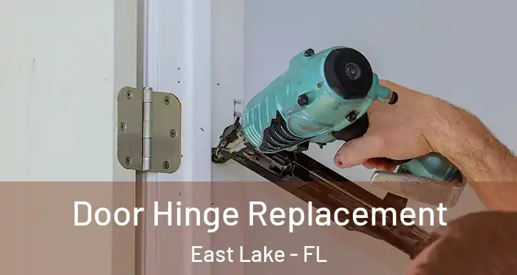  Door Hinge Replacement East Lake - FL