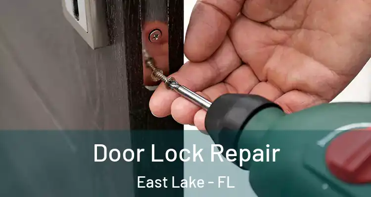  Door Lock Repair East Lake - FL