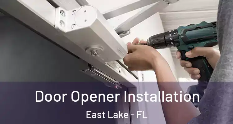  Door Opener Installation East Lake - FL