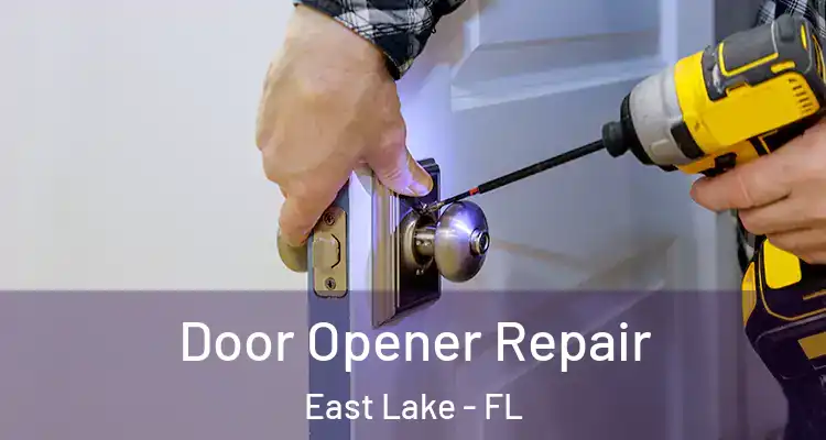  Door Opener Repair East Lake - FL