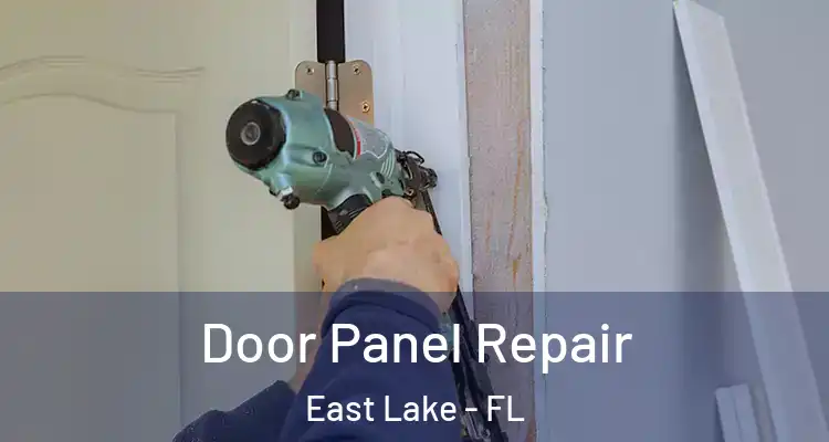  Door Panel Repair East Lake - FL