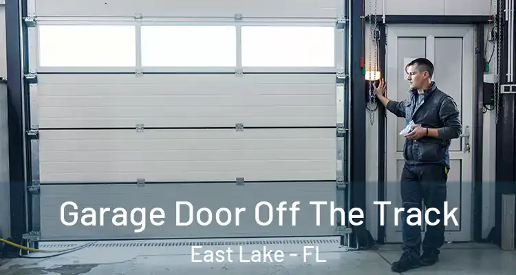 Garage Door Off The Track East Lake - FL
