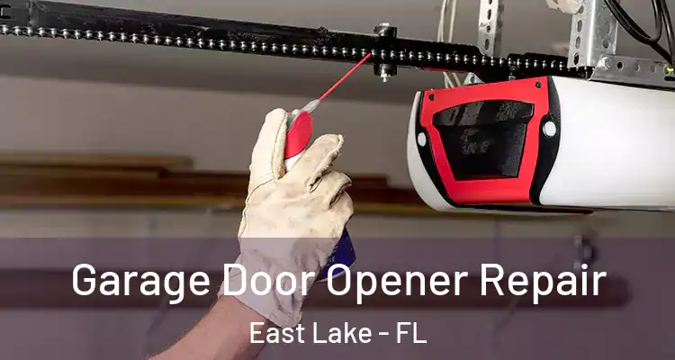  Garage Door Opener Repair East Lake - FL
