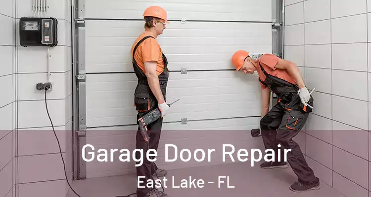  Garage Door Repair East Lake - FL