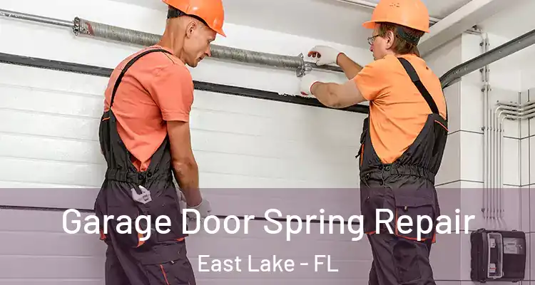  Garage Door Spring Repair East Lake - FL