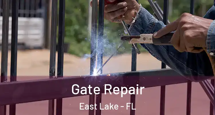  Gate Repair East Lake - FL