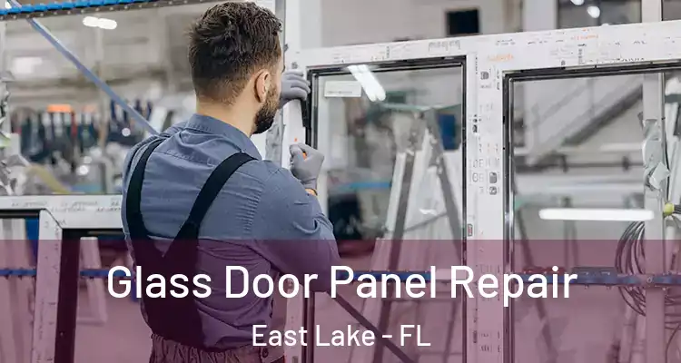  Glass Door Panel Repair East Lake - FL