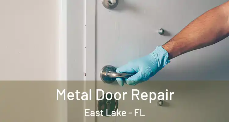  Metal Door Repair East Lake - FL