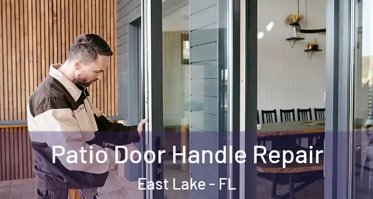  Patio Door Handle Repair East Lake - FL