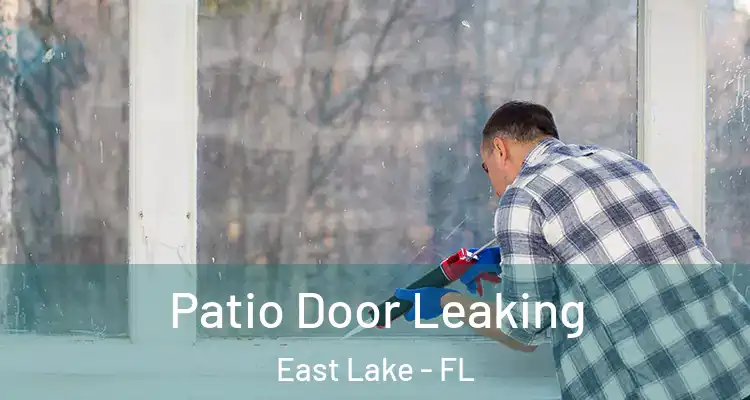  Patio Door Leaking East Lake - FL
