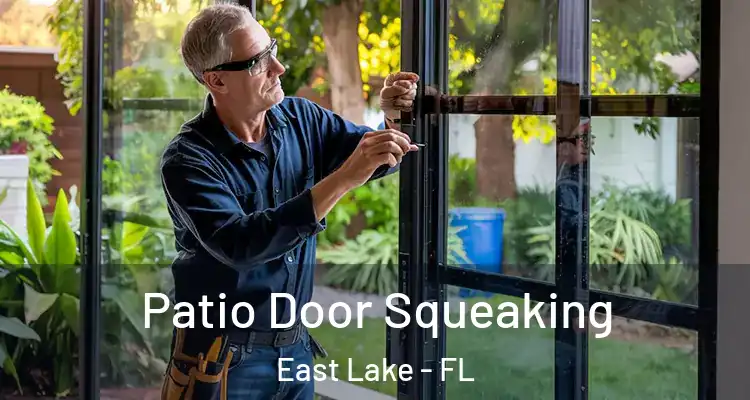  Patio Door Squeaking East Lake - FL