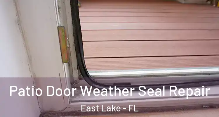  Patio Door Weather Seal Repair East Lake - FL