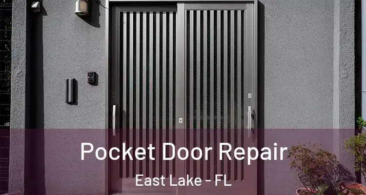  Pocket Door Repair East Lake - FL