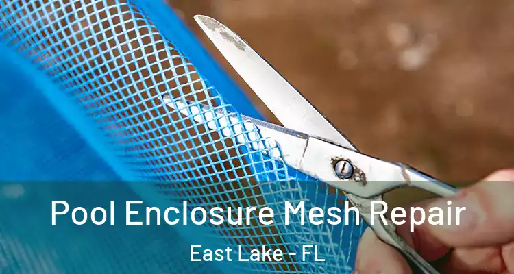  Pool Enclosure Mesh Repair East Lake - FL