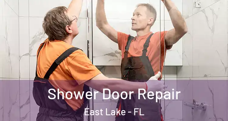  Shower Door Repair East Lake - FL