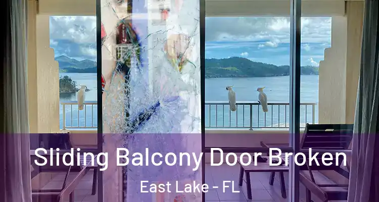  Sliding Balcony Door Broken East Lake - FL