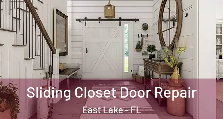  Sliding Closet Door Repair East Lake - FL