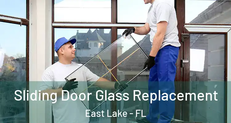  Sliding Door Glass Replacement East Lake - FL