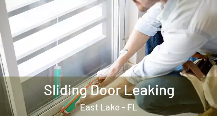  Sliding Door Leaking East Lake - FL