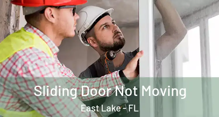  Sliding Door Not Moving East Lake - FL