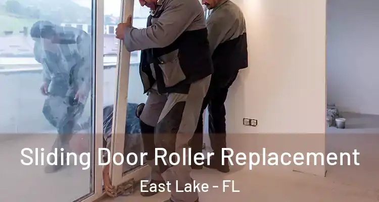  Sliding Door Roller Replacement East Lake - FL