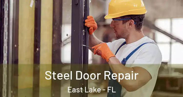  Steel Door Repair East Lake - FL