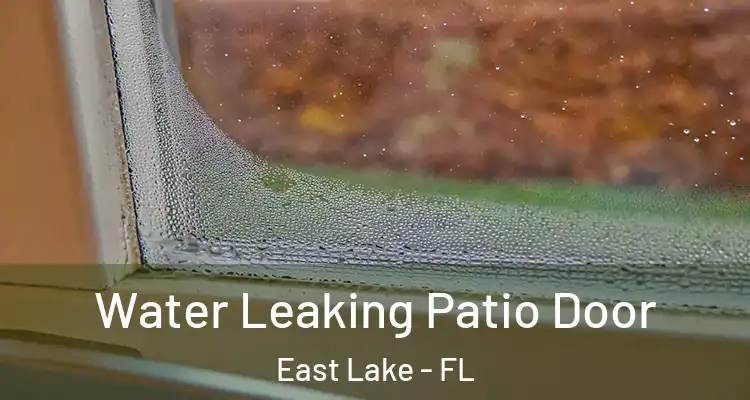  Water Leaking Patio Door East Lake - FL